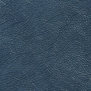 7431 Teal by Charlotte Designer Fabric