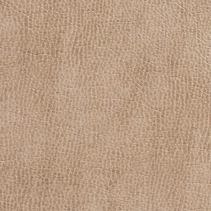 7432 Birch by Charlotte Designer Fabric Breathables 100% Breathable Polyurethane, 26oz. Asia Exceeds 2,000,000 Wyzenbeek Double Rubs (Heavy Duty) </p><p>Repeat: 54 Inches - Swanky Fabrics -