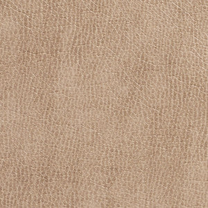 7432 Birch by Charlotte Designer Fabric