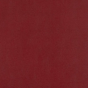 7435 Cherry by Charlotte Designer Fabric