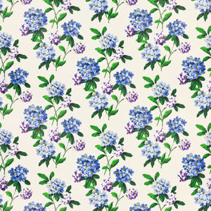 7436-3 Cashiers by Bassett Mcnab Designer Fabric