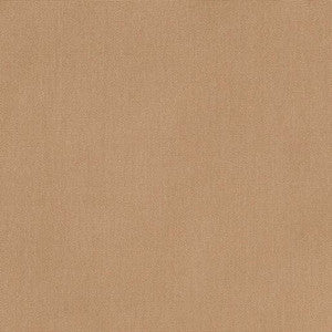 14107 Canvas Raffia by Sunbrella Designer Fabric