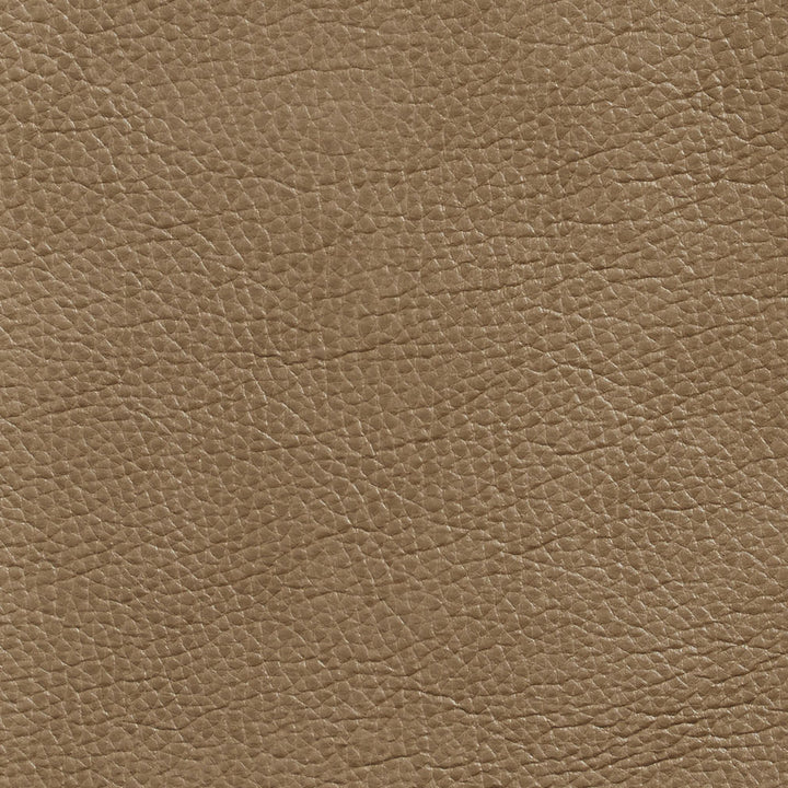 7437 Dune by Charlotte Designer Fabric Breathables 100% Breathable Polyurethane, 26oz. Asia Exceeds 250,000 Wyzenbeek Rubs (Heavy Duty) No Repeat 54 Inches - Swanky Fabrics -