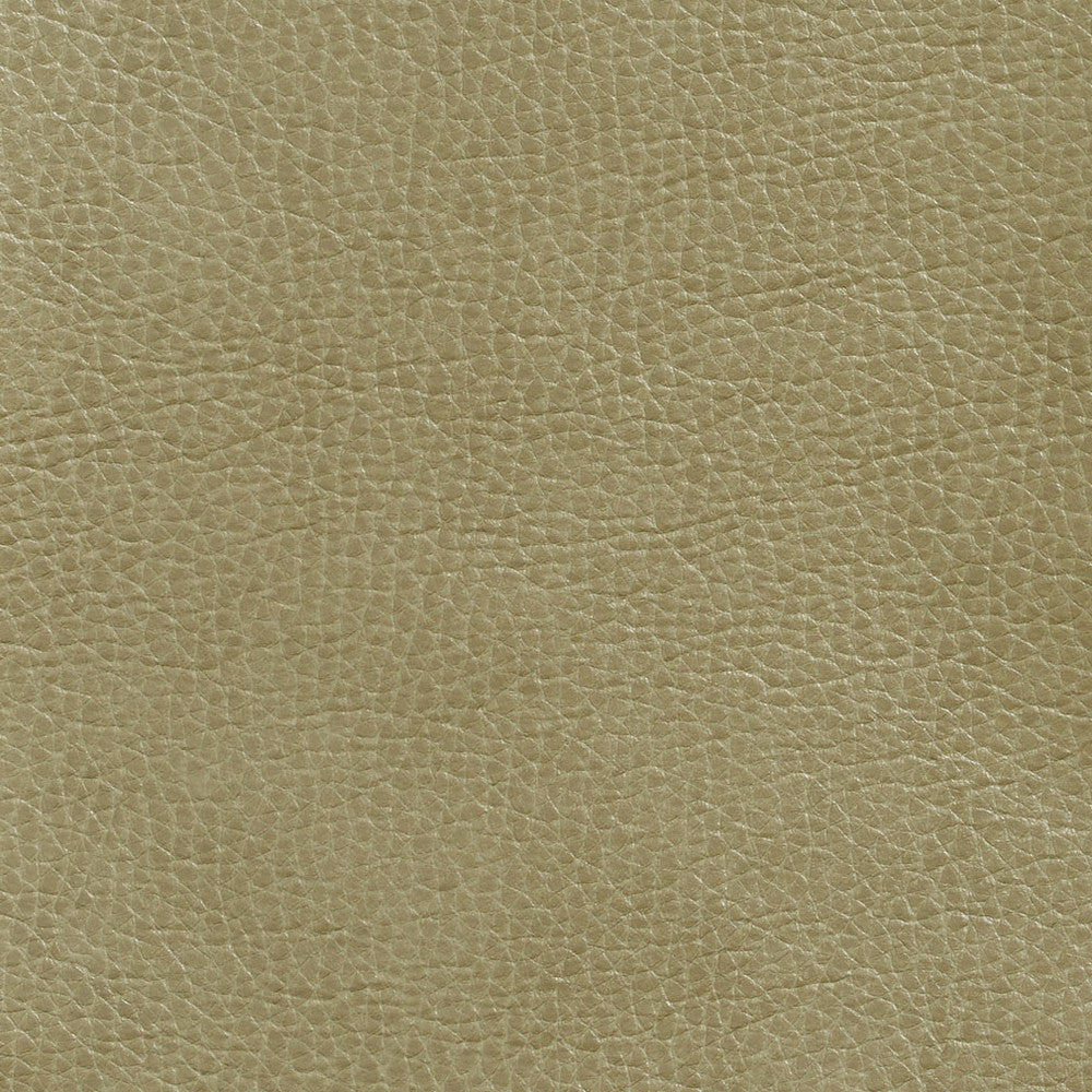 7439 Moss by Charlotte Designer Fabric Breathables 100% Breathable Polyurethane, 26oz. Asia Exceeds 250,000 Wyzenbeek Rubs (Heavy Duty) No Repeat 54 Inches - Swanky Fabrics -