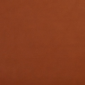 7443 Palomino by Charlotte Designer Fabric