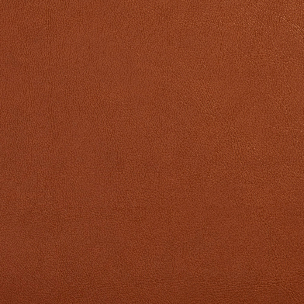7443 Palomino by Charlotte Designer Fabric UltraHyde Face: Vinyl/Polyurethane, Back: Polyester Microsuede, 29oz. Asia Exceeds 200,000 Wyzenbeek Rubs (Heavy Duty) No Repeat 54 Inches - Swanky Fabrics -
