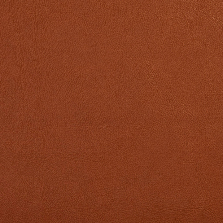 7443 Palomino by Charlotte Designer Fabric UltraHyde Face: Vinyl/Polyurethane, Back: Polyester Microsuede, 29oz. Asia Exceeds 200,000 Wyzenbeek Rubs (Heavy Duty) No Repeat 54 Inches - Swanky Fabrics -