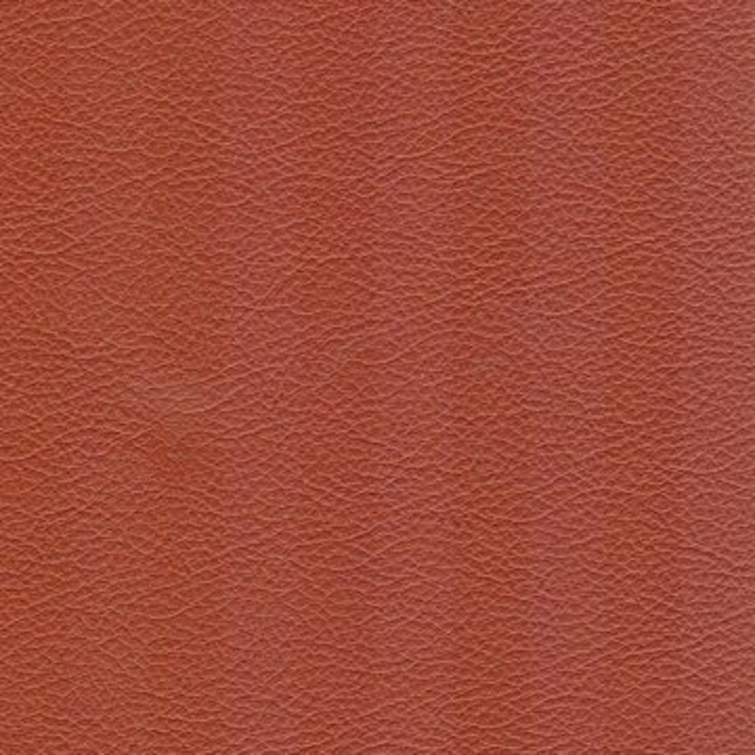 74476 Terracotta by Greenhouse Designer Fabric