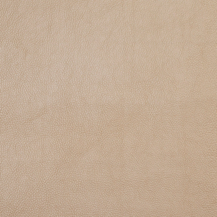 7447 Flax by Charlotte Designer Fabric UltraHyde Face: Vinyl/Polyurethane, Back: Polyester Microsuede, 29oz. Asia Exceeds 2,000,000 Wyzenbeek Double Rubs (Heavy Duty) </p><p>Repeat: 54 Inches - Swanky Fabrics -