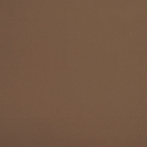 7450 Mushroom by Charlotte Designer Fabric