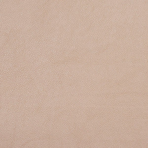 7451 Champagne by Charlotte Designer Fabric