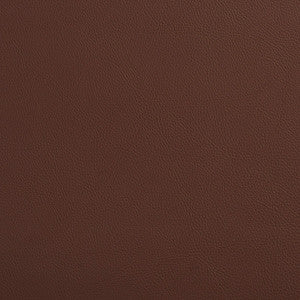 7454 Rawhide by Charlotte Designer Fabric
