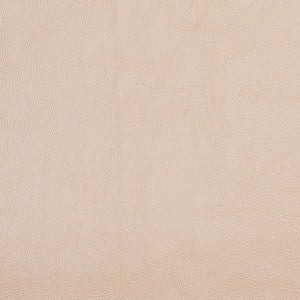 7467 Cornsilk by Charlotte Designer Fabric