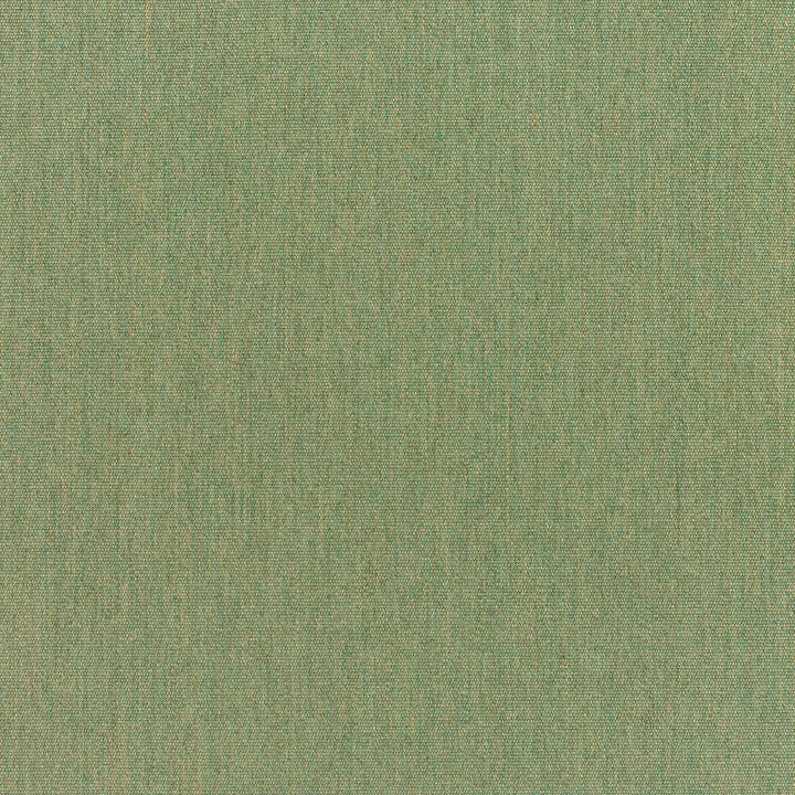 5487 77 Rain Canvas Fern by Sunbrella Designer Fabric Sunbrella Rain 100% Sunbrella® Acrylic USA or Imported 5-Year Horizontal: and Vertical: 60 yd. 54 in. - Swanky Fabrics -