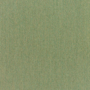 5487 77 Rain Canvas Fern by Sunbrella Designer Fabric