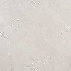 Burnett Pewter 75191 by Schumacher Designer Fabric