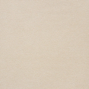 Stingray Champagne 75200 by Schumacher Designer Fabric