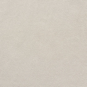 Stingray Pewter 75201 by Schumacher Designer Fabric