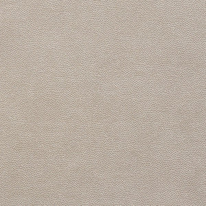 Stingray Zinc 75202 by Schumacher Designer Fabric