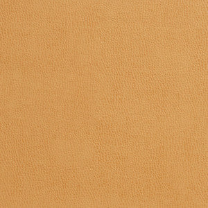 7554 Camel by Charlotte Designer Fabric