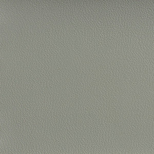 7596 Zinc by Charlotte Designer Fabric