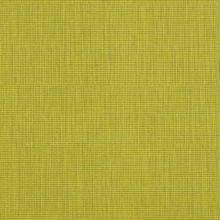 7603 Citrus by Charlotte Designer Fabric Heavy Duty Soft Touch Vinyl II 100% Virgin Vinyl, 30oz. Asia Exceeds 200,000 Wyzenbeek Rubs (Heavy Duty) No Repeat 54 Inches - Swanky Fabrics -