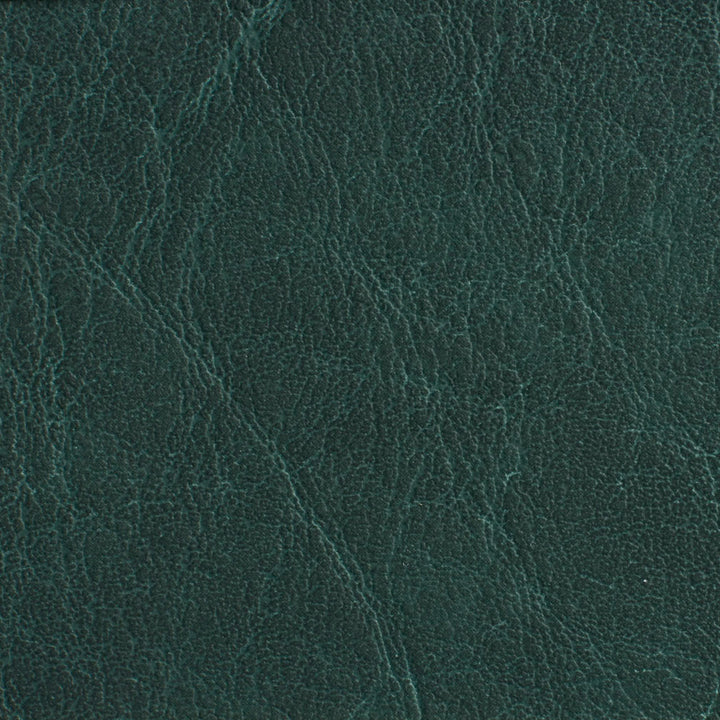 7619 Forest by Charlotte Designer Fabric Heavy Duty Soft Touch Vinyl II 100% Virgin Vinyl, 30oz. Asia Exceeds 200,000 Wyzenbeek Rubs (Heavy Duty) No Repeat 54 Inches - Swanky Fabrics -