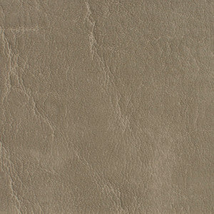 7620 Taupe by Charlotte Designer Fabric