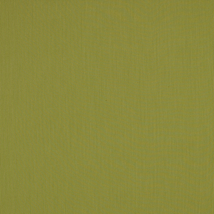 SJA 3970 137 Canvas Lichen by Sunbrella Designer Fabric Sunbrella European Sunbrella® Acrylic, Sunbrella® Polyester USA or Imported 5-Year Horizontal: and Vertical: 54 in. - Swanky Fabrics -