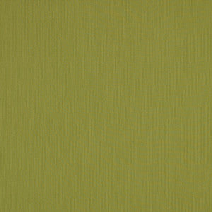 SJA 3970 137 Canvas Lichen by Sunbrella Designer Fabric