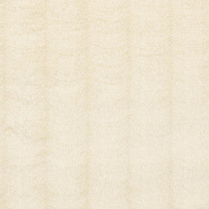 Tundra Ivory 76460 by Schumacher Designer Fabric