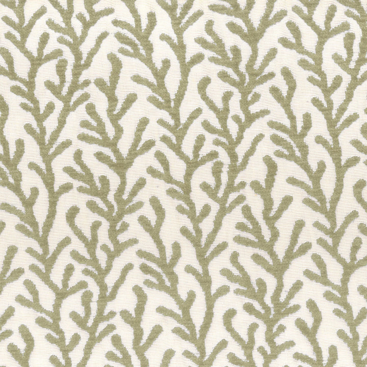 7659-7 Sea Coral Chenille by Bassett Mcnab Designer Fabric BASSETT MCNAB WOVENS 53%SVI 26%POL 21%COT USA WYZENBEEK 45 000 DOUBLE RUB WEAR TEST (HEAVY DUTY) Horizontal: 7.5 and Vertical: 5.875 54 in - Swanky Fabrics -