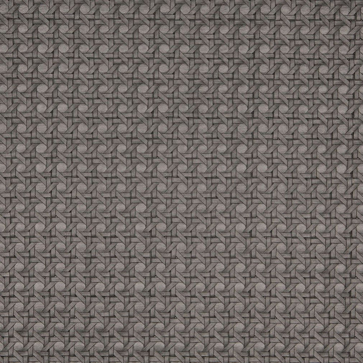 7675 Nickel by Charlotte Designer Fabric Ultimate Leather Looks II 90% Virgin Vinyl, 5% Polyurethane, 26oz. Europe Exceeds 200,000 Wyzenbeek Rubs (Heavy Duty) Horizontal: .75" x Vertical: .75" 54 Inches - Swanky Fabrics -