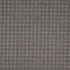 7675 Nickel by Charlotte Designer Fabric