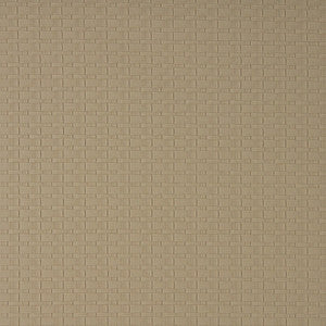 7685 Almond by Charlotte Designer Fabric