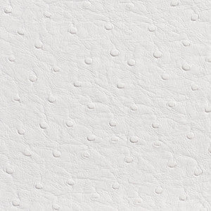 7700 White by Charlotte Designer Fabric