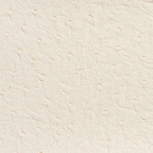 7704 Eggshell by Charlotte Designer Fabric