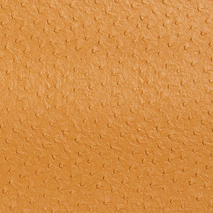 7705 Camel by Charlotte Designer Fabric