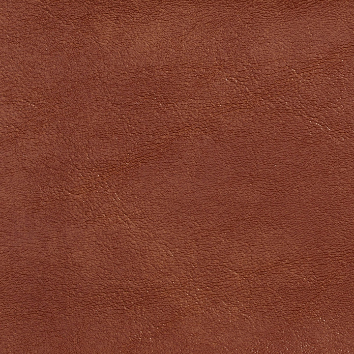 7717 Sable by Charlotte Designer Fabric Outdoor/Indoor Vinyl Oasis 100% Virgin Vinyl, 32oz. Asia Exceeds 600,000 Wyzenbeek Rubs (Heavy Duty) No Repeat 54 Inches - Swanky Fabrics -