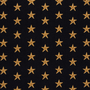 Star Epingle Black 77420 by Schumacher Designer Fabric