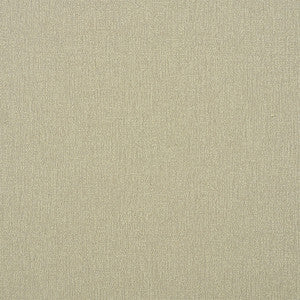 Albert Performance Cotton Flax 77802 by Schumacher Designer Fabric