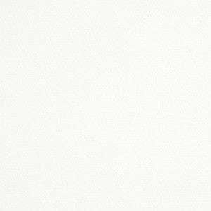 Albert Performance Cotton White 77808 by Schumacher Designer Fabric
