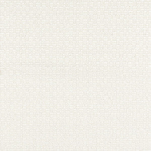 7803-3 Foundation Whitecap by Bassett Mcnab Designer Fabric