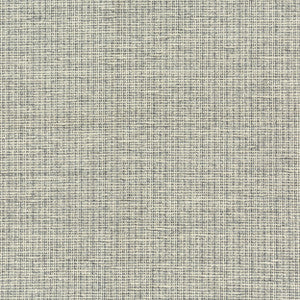 7804-10 Beginnings Nightfall by Bassett Mcnab Designer Fabric