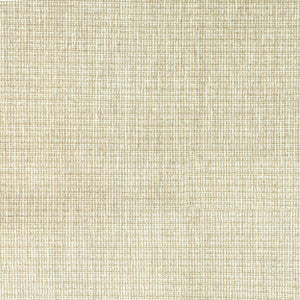 7804-11 Beginnings Sanddune by Bassett Mcnab Designer Fabric