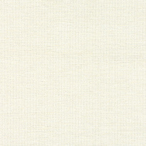 7804-17 Beginnings Fog by Bassett Mcnab Designer Fabric