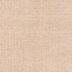 7804-21 Beginnings Desert by Bassett Mcnab Designer Fabric