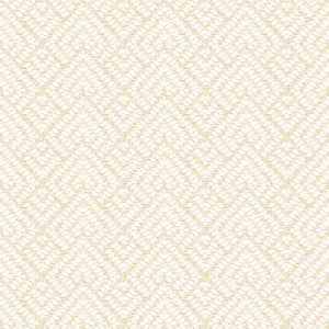 7808-77 On Point Beach Blonde by Bassett Mcnab Designer Fabric