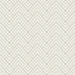 7808-7 On Point Windswept by Bassett Mcnab Designer Fabric