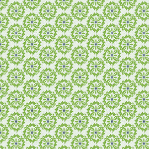 7821-4 Splash Spring by Aoc Designer Fabric